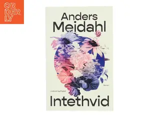 Intethvid : roman af Anders Christian Meidahl (Bog)