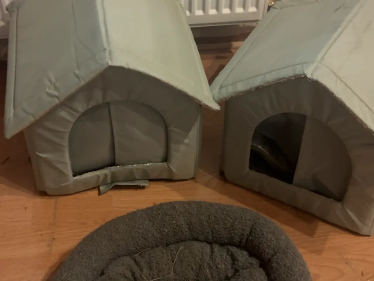 Billede 7 - Kanin udstyr