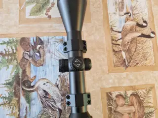 Zeiss Diavari victory