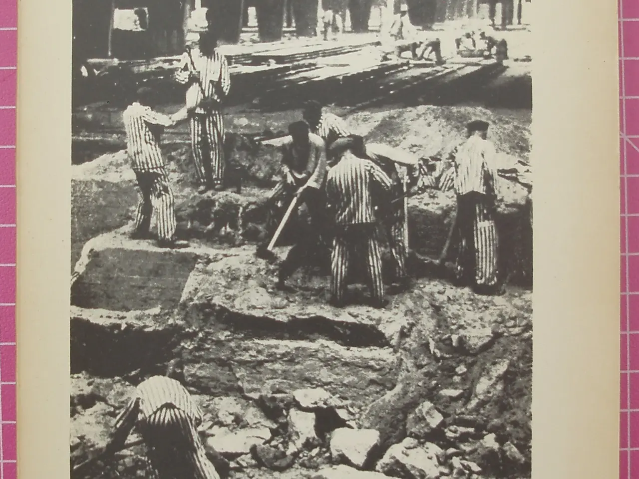Billede 1 - Krig; Sachsenhausen