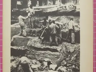 Krig; Sachsenhausen