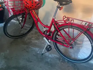 Pigecykel 24 “