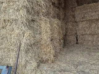 Halm sælges