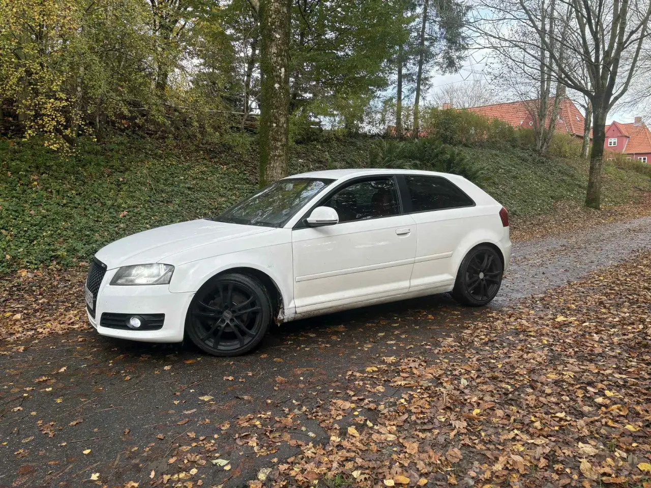 Billede 14 - Audi A3 8P Facelift ( Fuld Service bog )