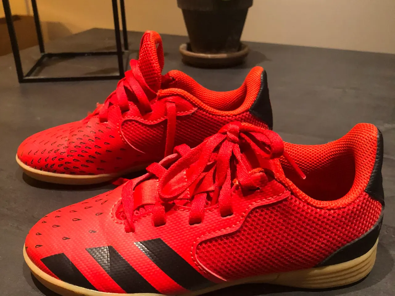 Billede 1 - Adidas indendørssko str 31