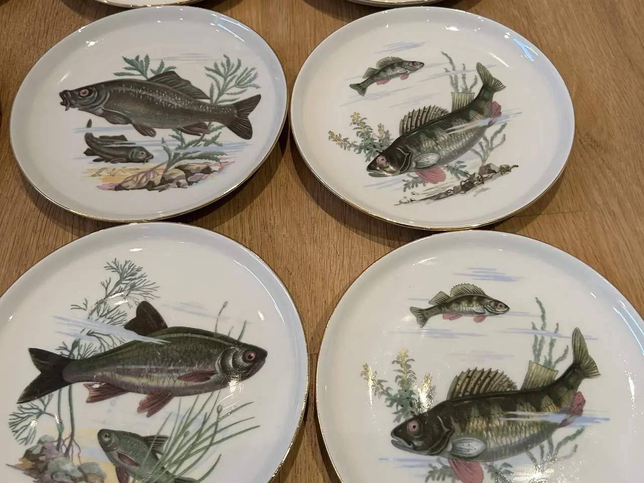 Billede 3 - 12 stk. Fiske tallerkner