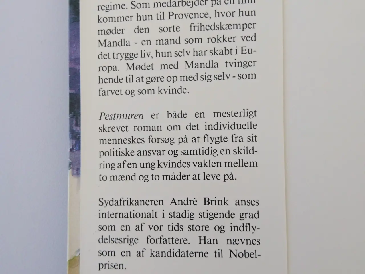 Billede 2 - Pestmuren. Af André Brink