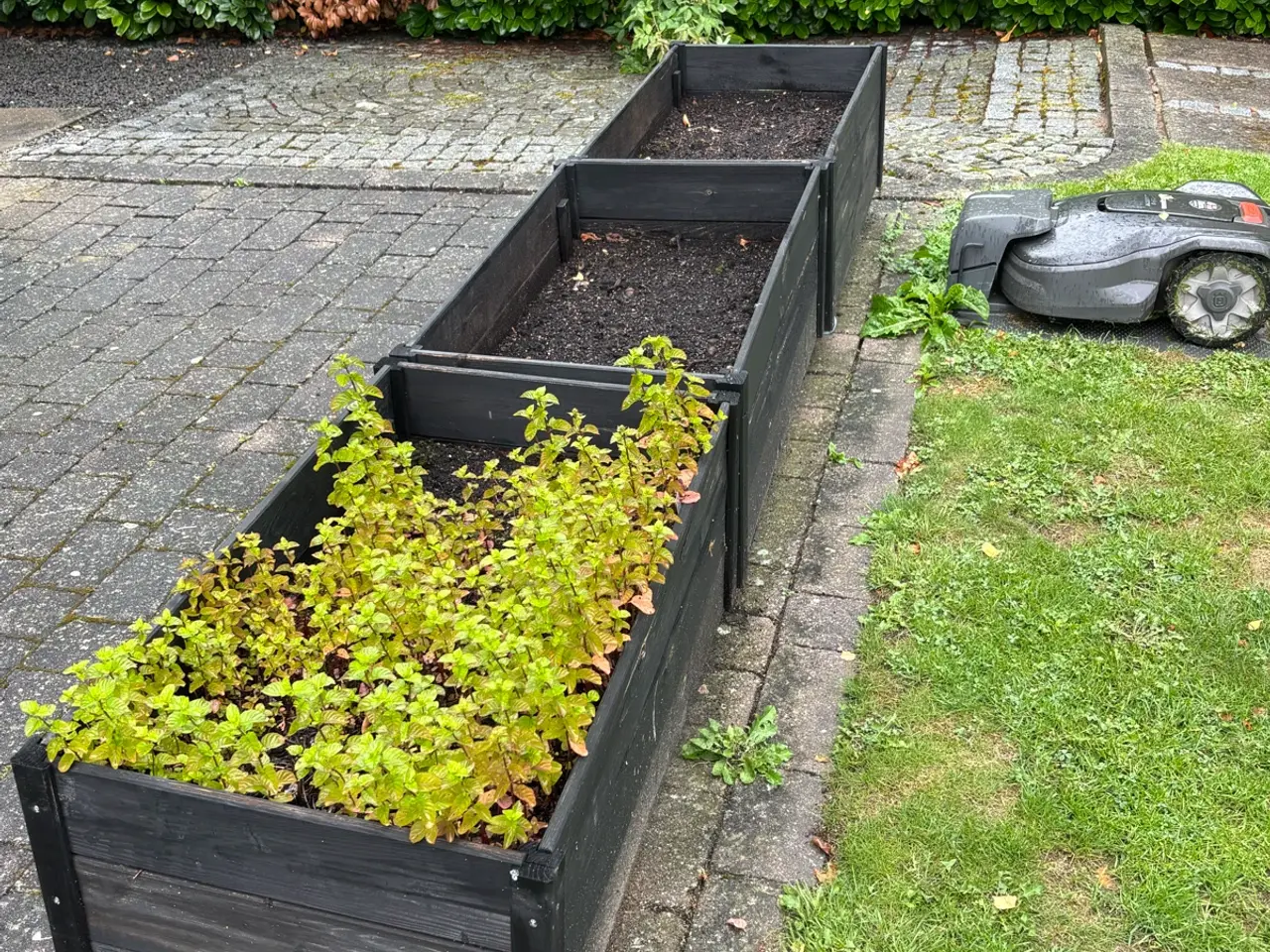 Billede 2 - Højbede / plantekasser i sort træ til haven