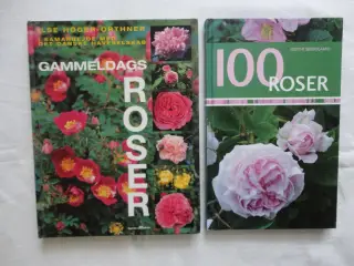 R o s e r  :