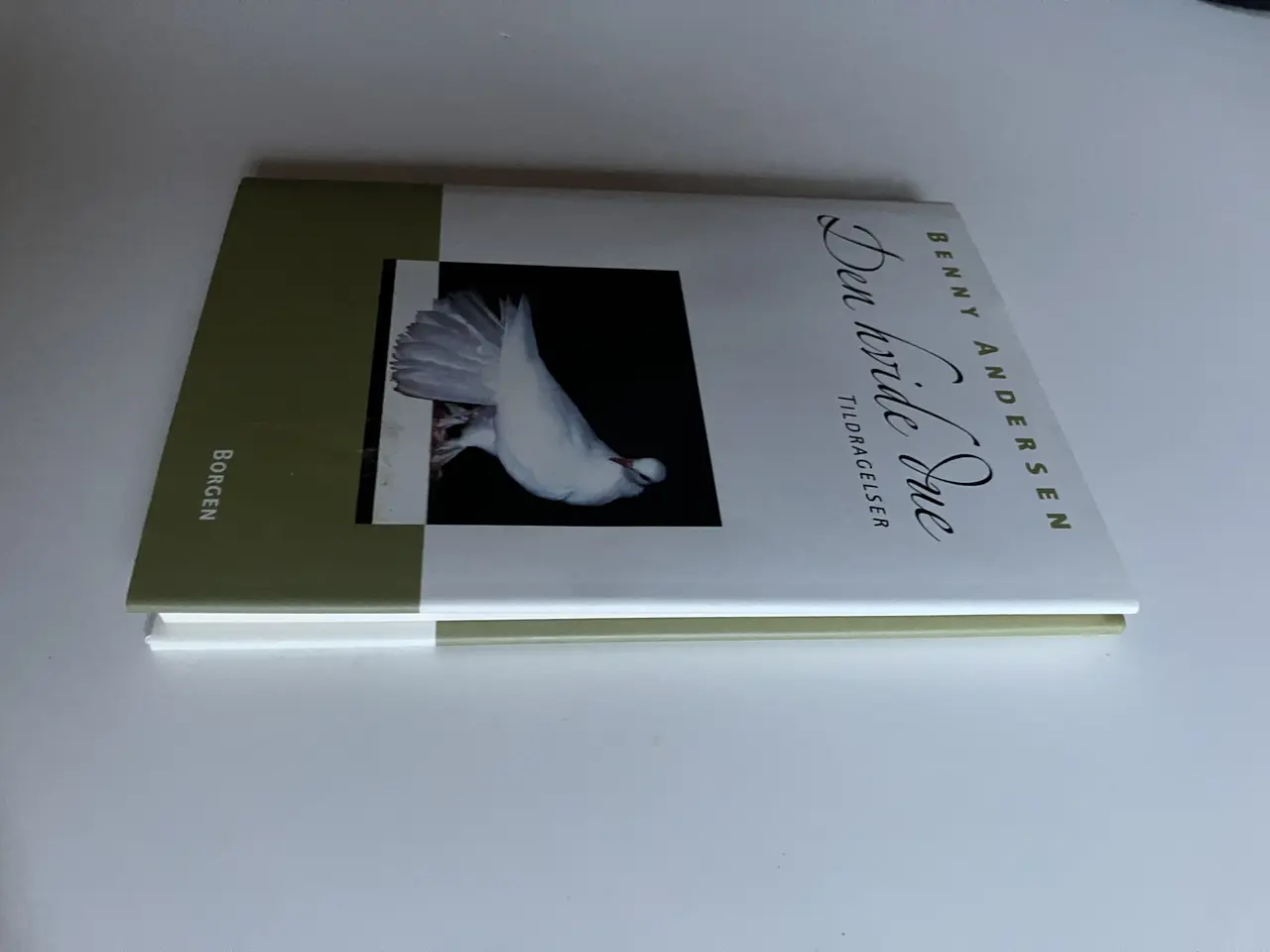 Billede 8 - Den hvide due - tildragelser. Af Benny Andersen