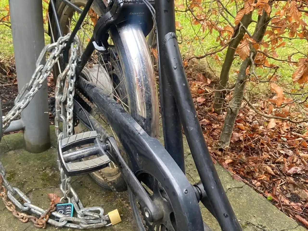 Billede 5 - Christiania ladcykel