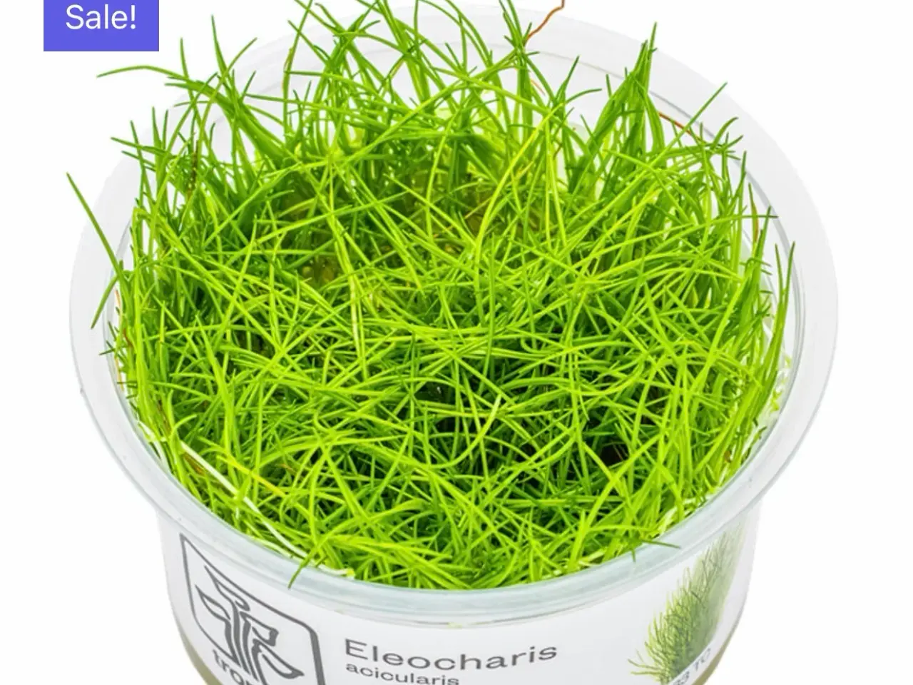 Billede 4 - Flotte 1.2 grow akvarie planter