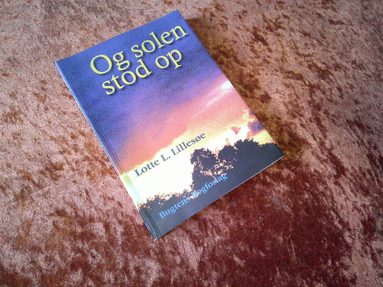 Billede 1 - Og solen stod op, Lotte L. Lillesøe