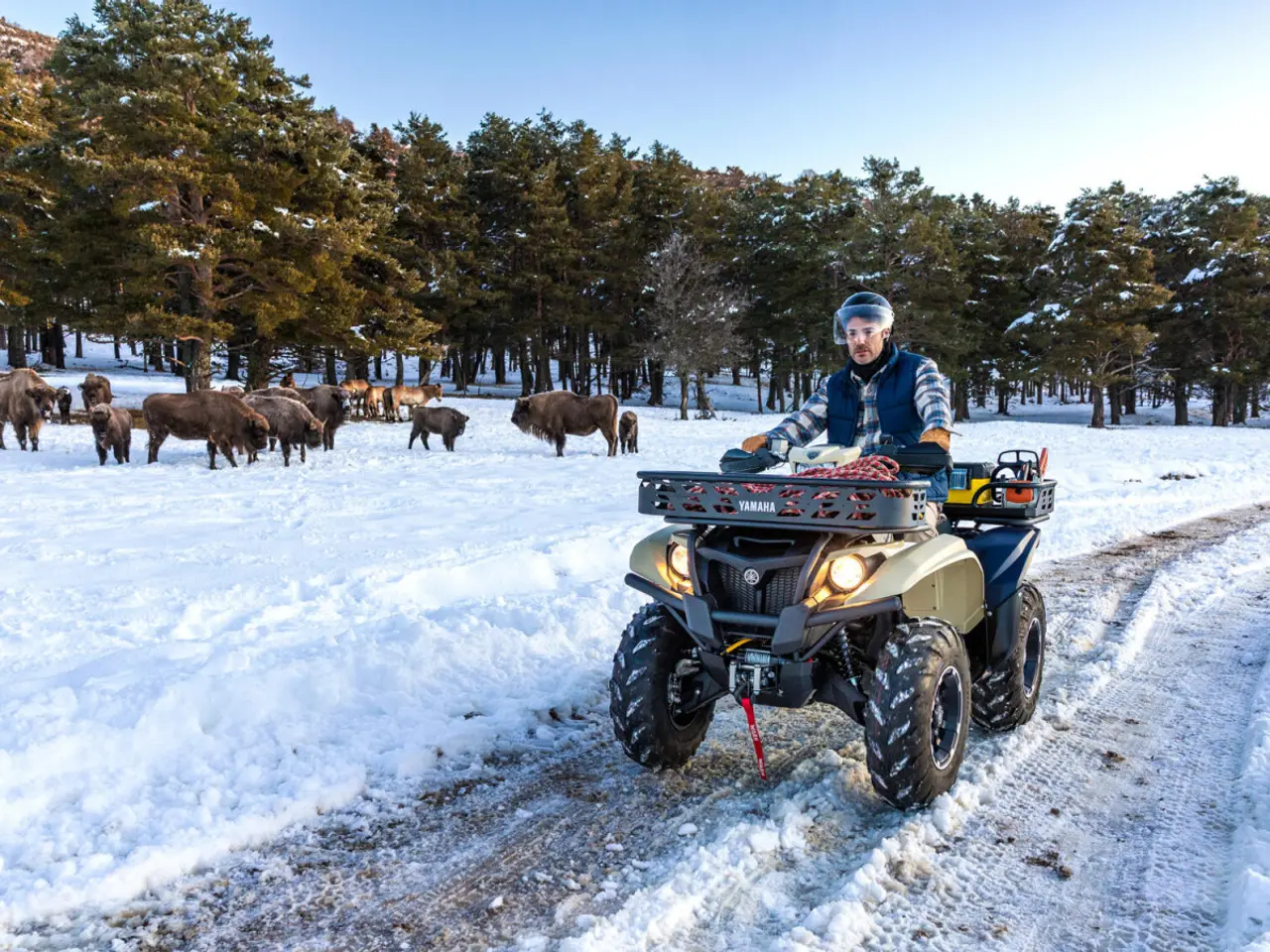 Billede 3 - Yamaha Kodiak 700 EPS Kiwami