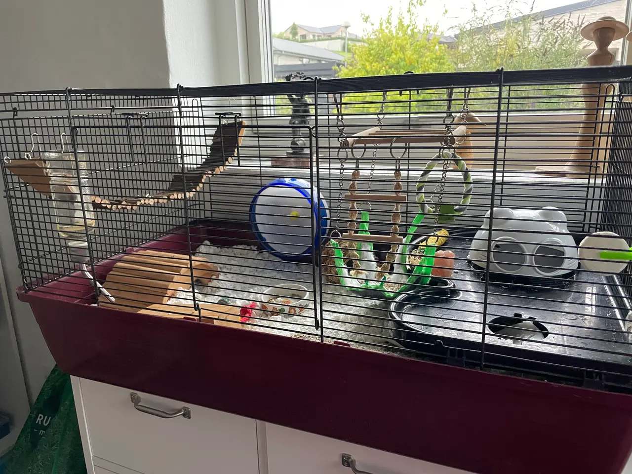 Billede 5 - Hamsterbur med tilbehør og mad