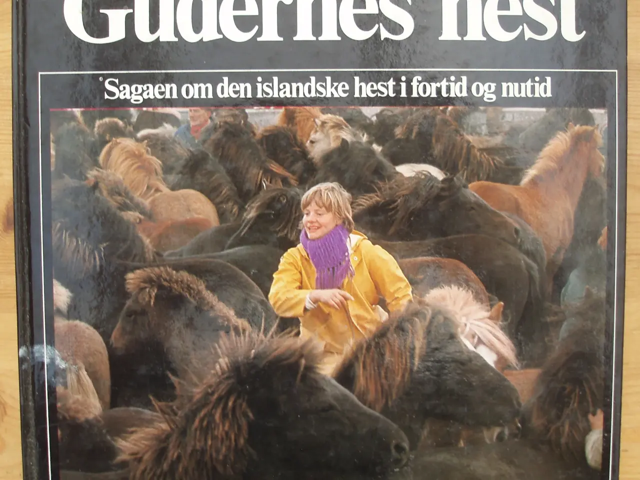 Billede 1 - Gudernes hest, sagaen om den islandske hest
