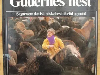 Gudernes hest, sagaen om den islandske hest