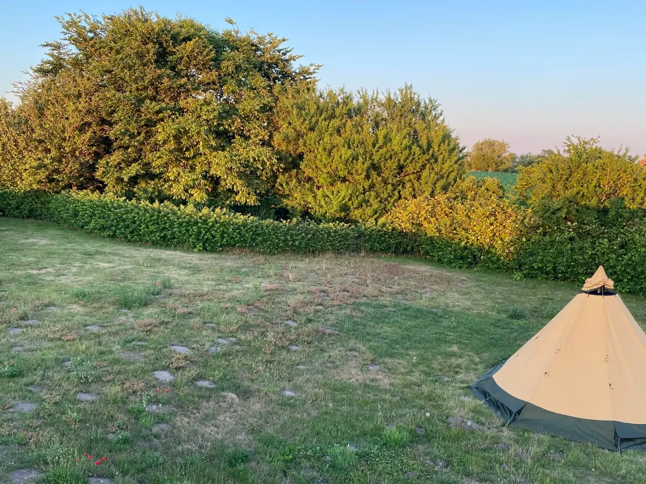 Billede 2 - TENTIPI Safir 7 cp