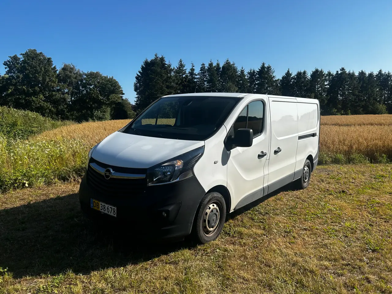 Billede 1 - Privat kørsel opel vivaro
