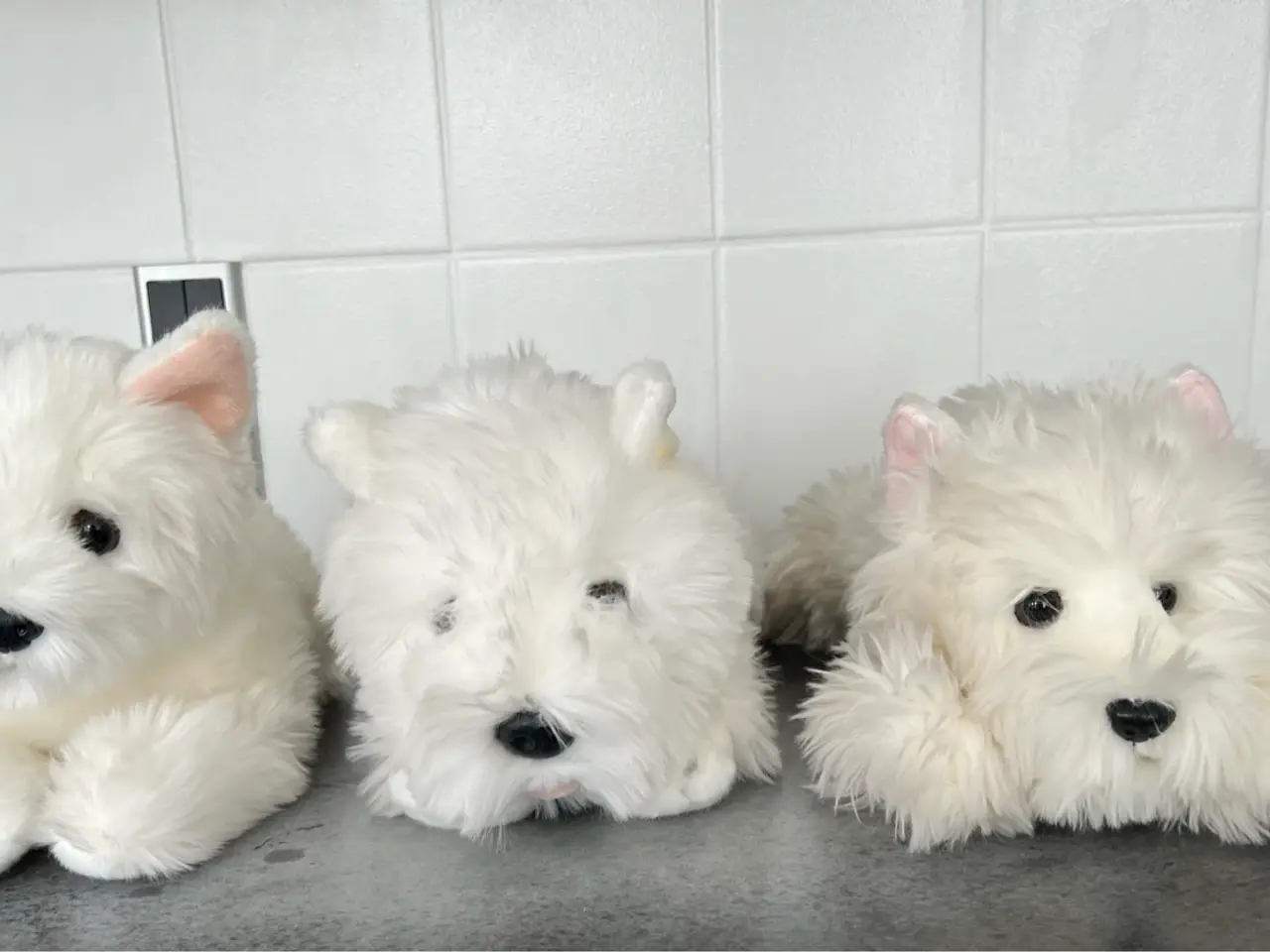 Billede 4 - Div. West Highland Terrier tøjdyr