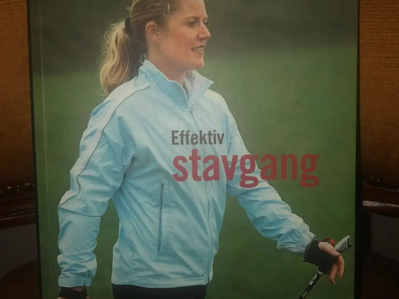 Billede 5 - Stave til stavgang