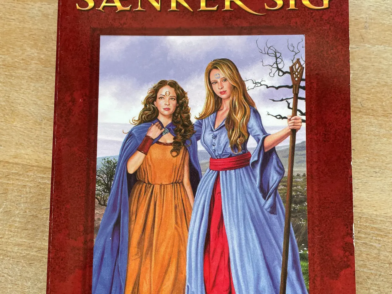Billede 6 - Saga Borg Jarastavens Vandring