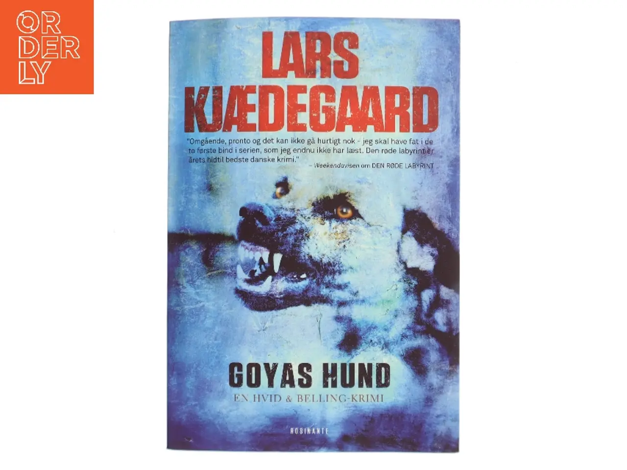 Billede 1 - Goyas hund af Lars Kjædegaard (Bog)
