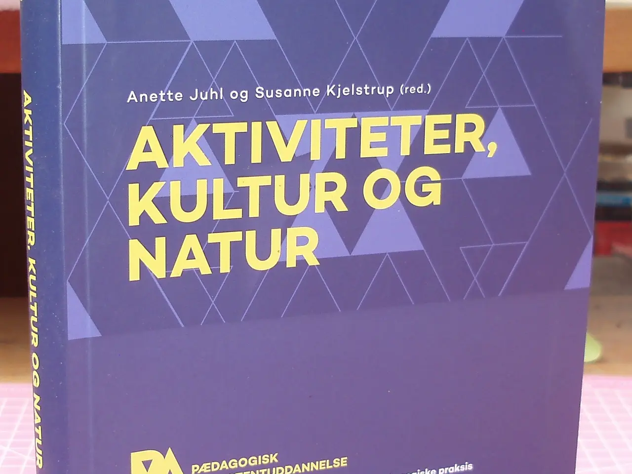 Billede 2 - Pædagogisk Assistentuddannelse 2016/2017