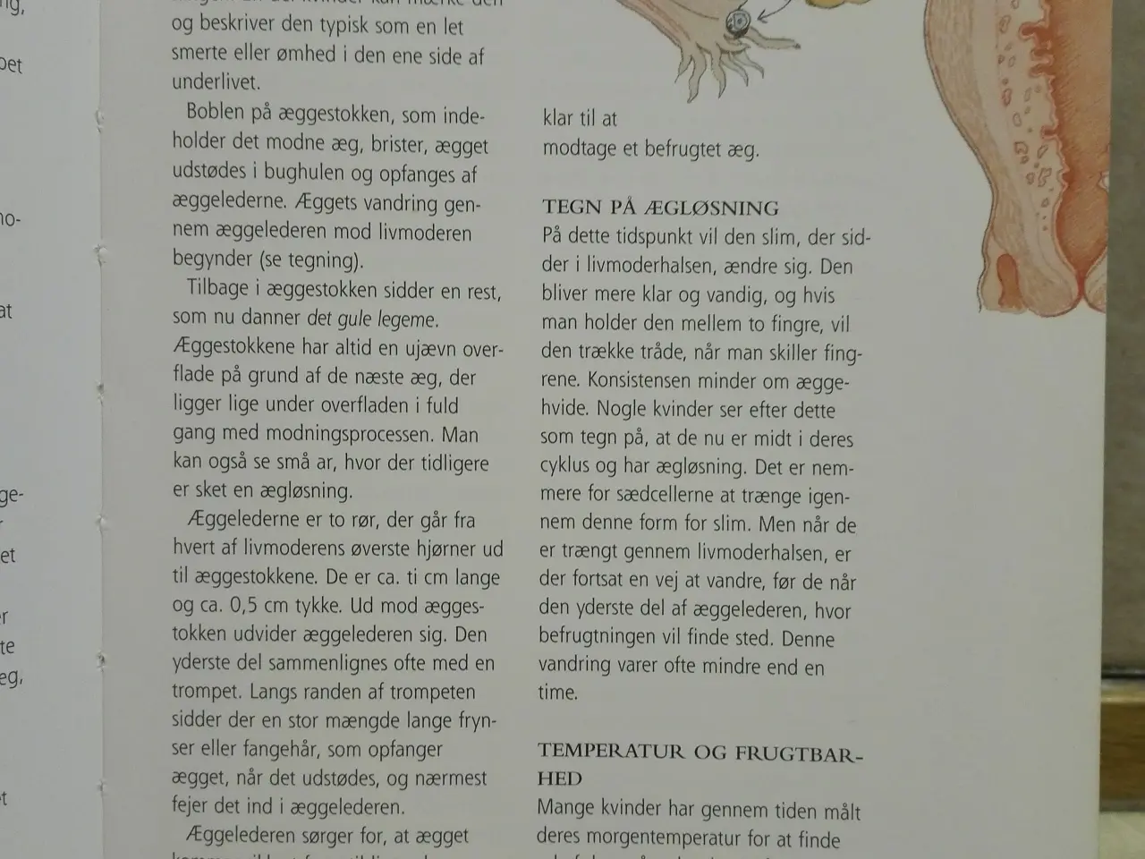 Billede 4 - Gravid De 42 uger