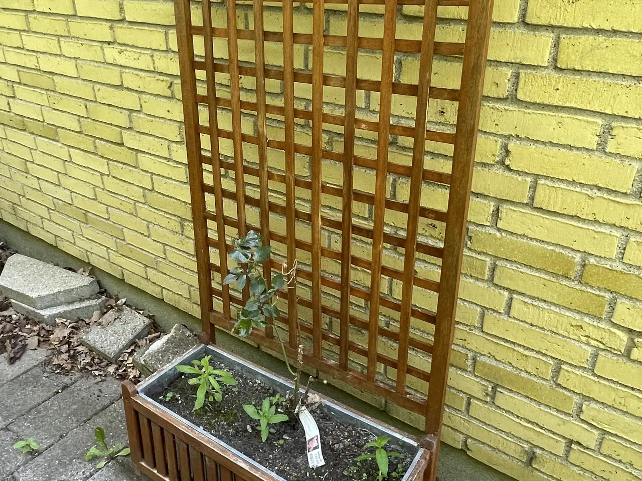 Billede 2 - Rosenbænk og 2 fine plantekasser med espalier