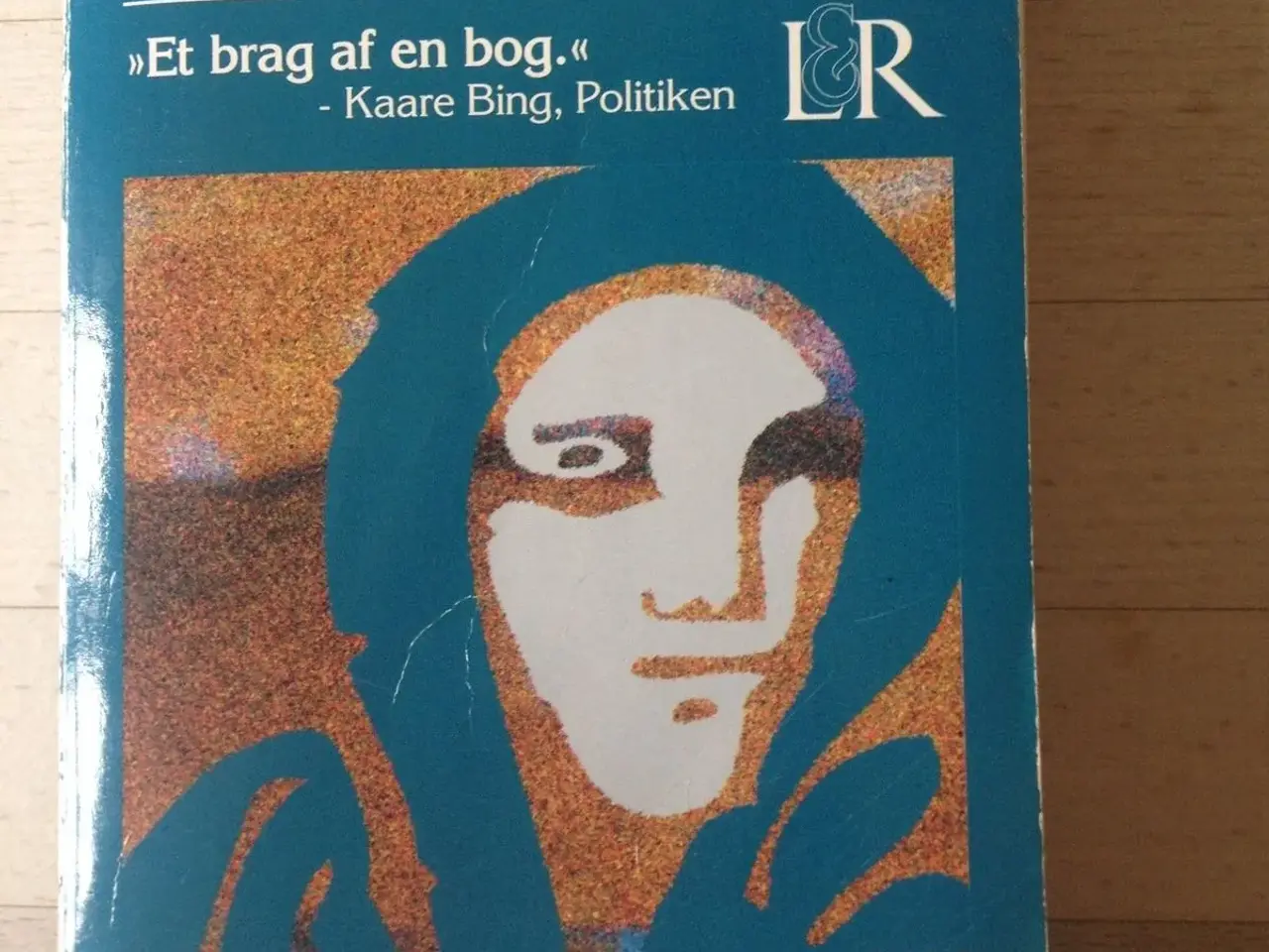Billede 1 - Dinas bog, Herbjørg Wassmo