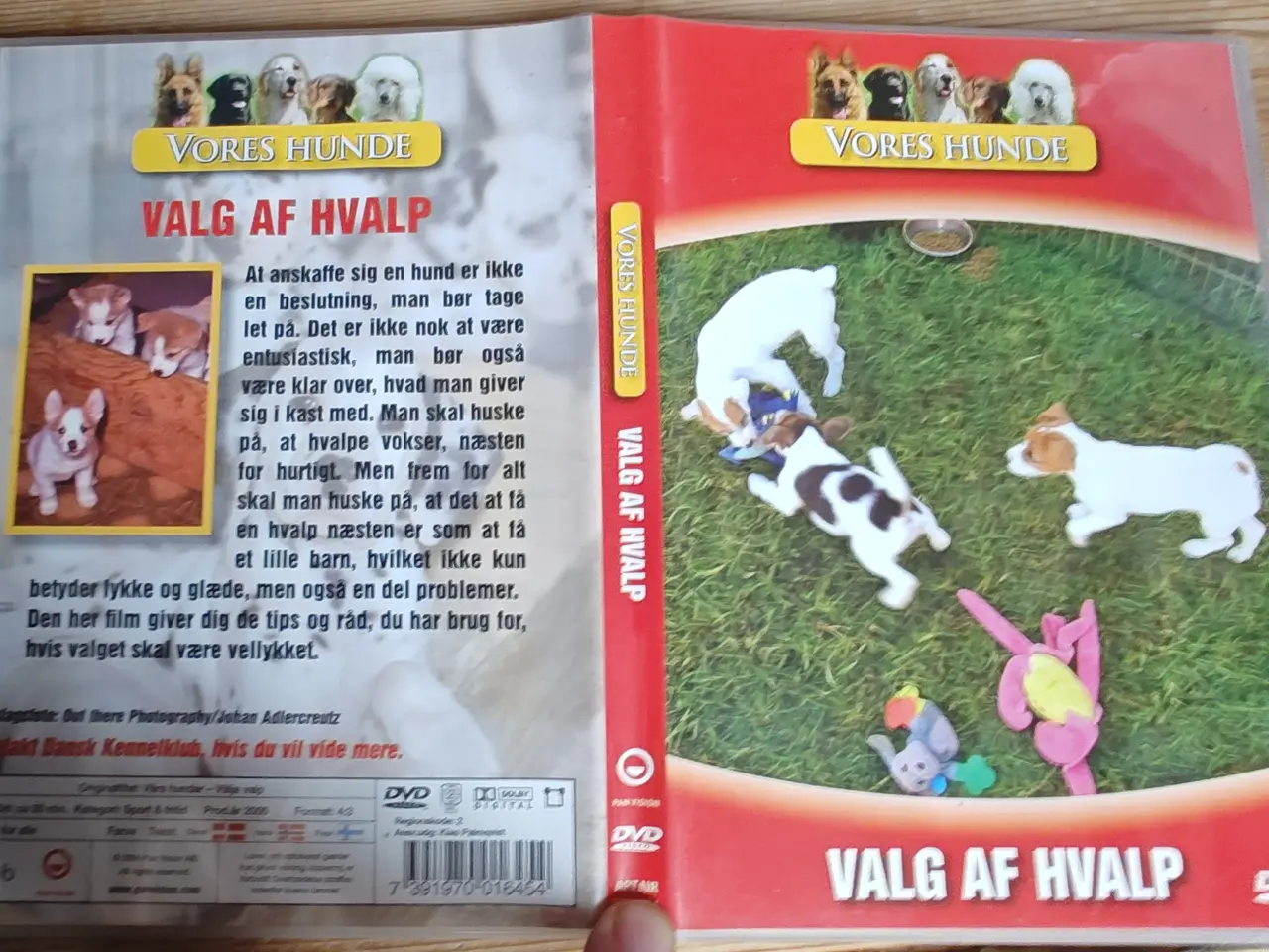 Billede 1 - Vores Hunde - Valg af Hvalp DVD