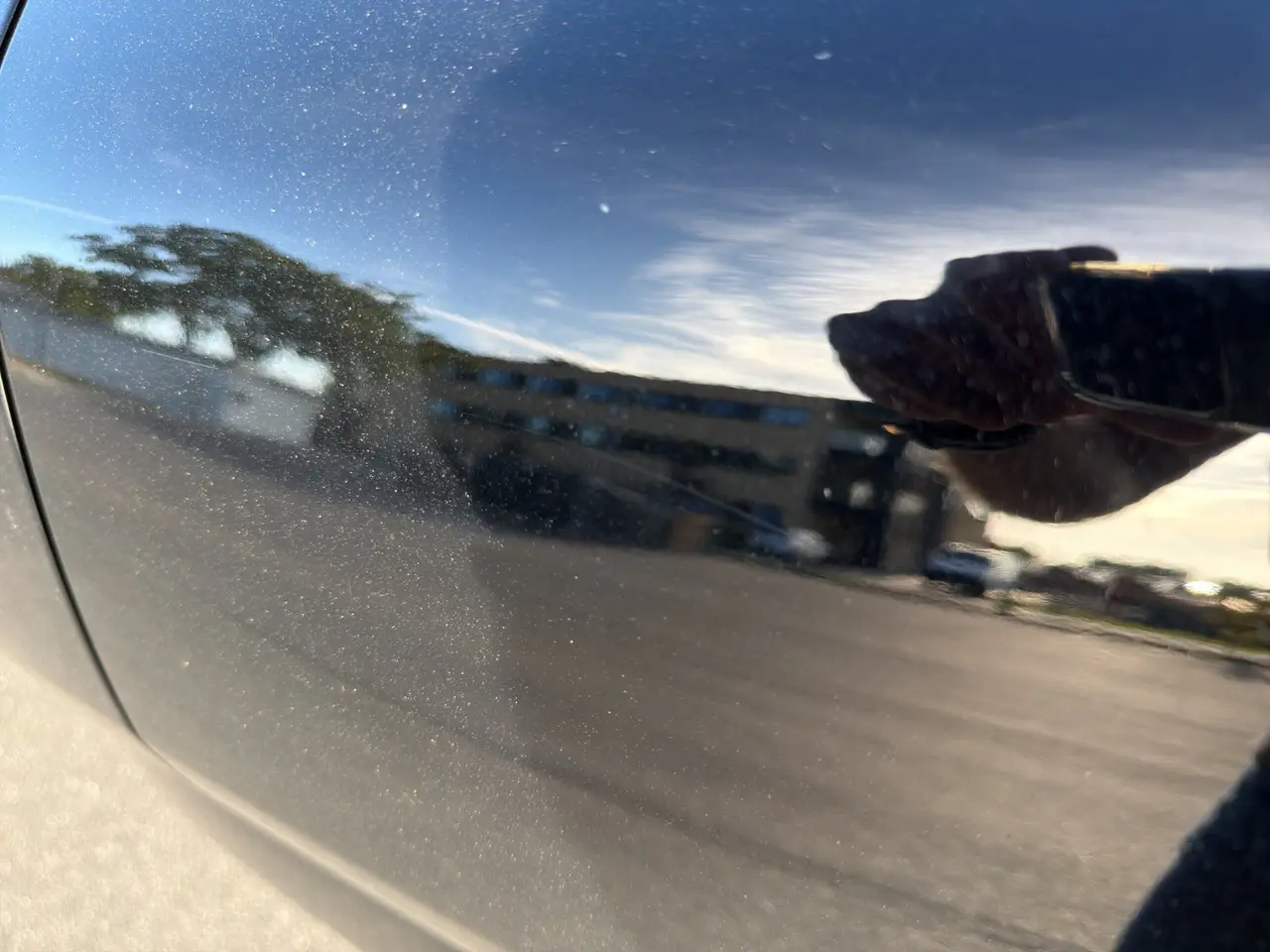 Billede 23 - Ford Mustang Mach-E 91 Extended Range AWD