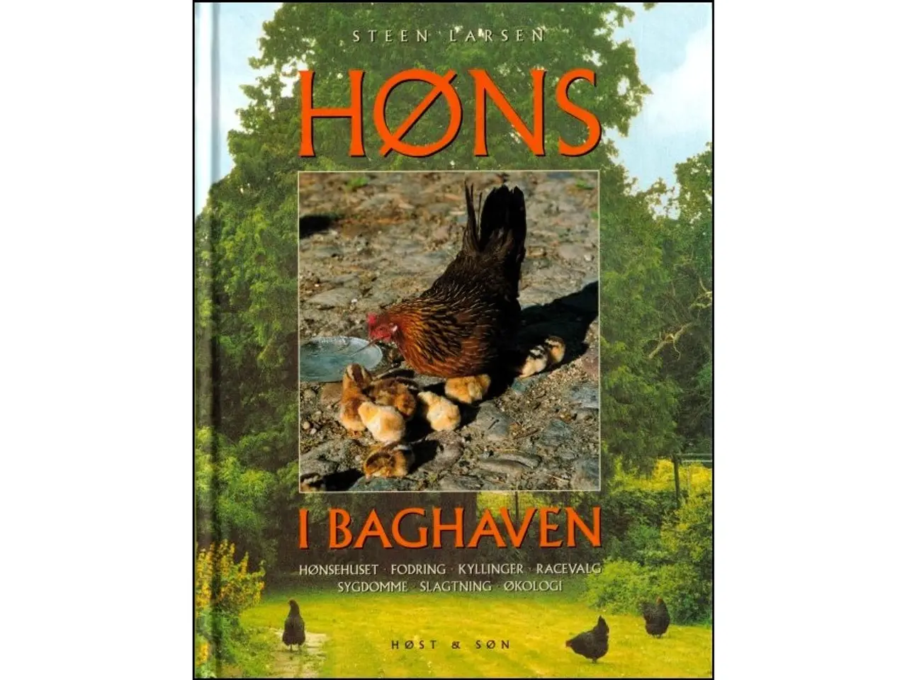 Billede 1 - Høns i baghaven