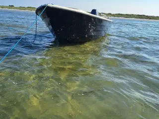 Sea eksplorer 440 med 15 hk yamaha 4 takt