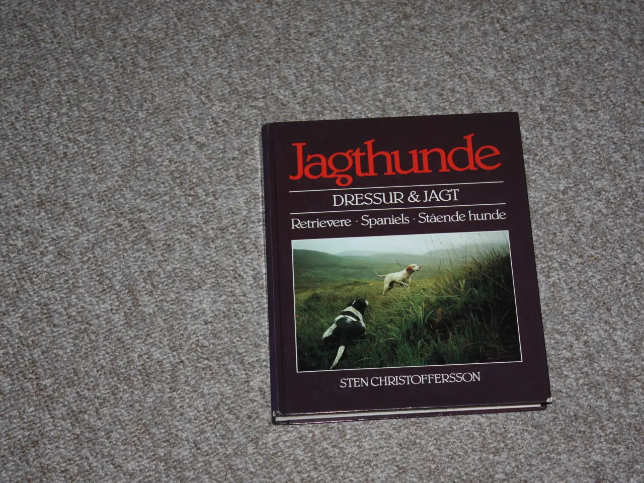 Billede 1 - Jagthunde dressur & jagt af Sten Christoffersson