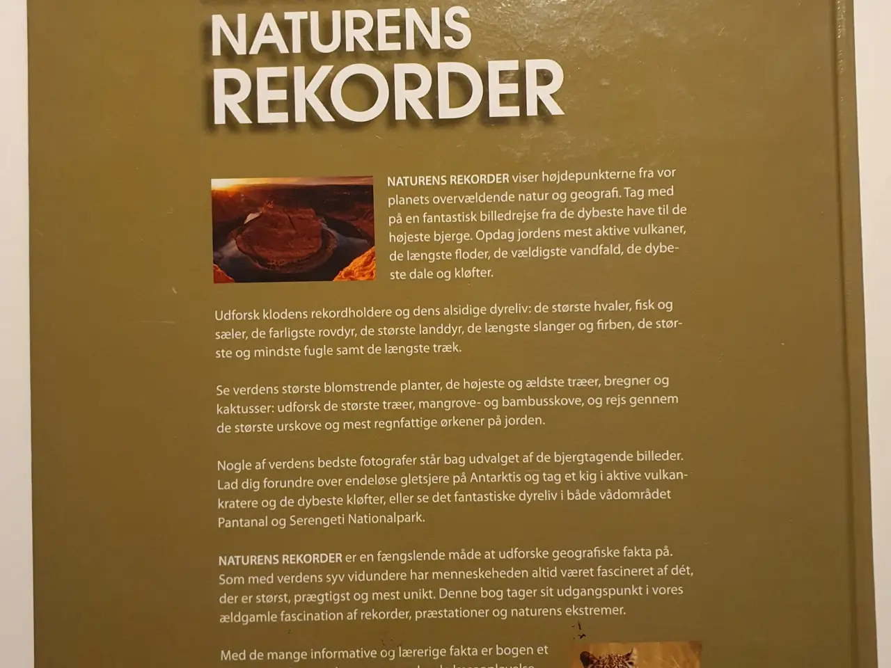 Billede 9 - Naturens Rekorder. Vores fantastiske verden