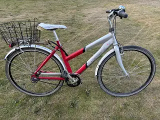 Velkørende Dame/pige cykel