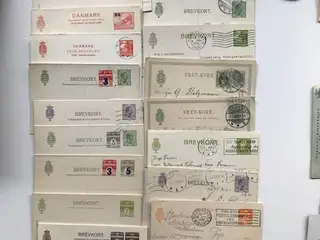 100 DANSKE HELSAGER