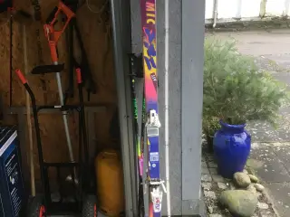 Alpinski