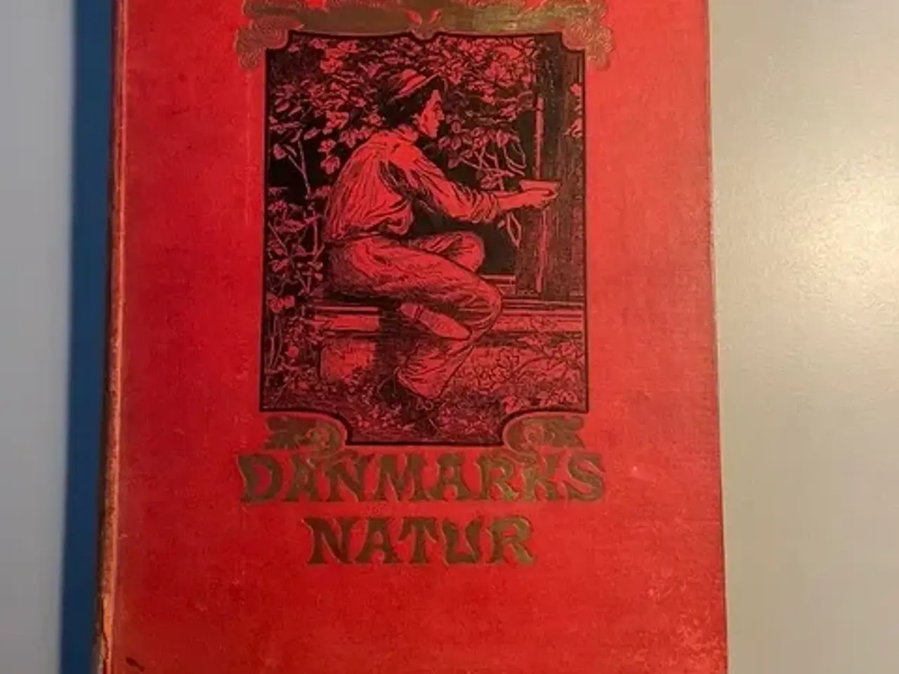 Billede 1 - Jul. Schiøtt. Danmarks natur.
