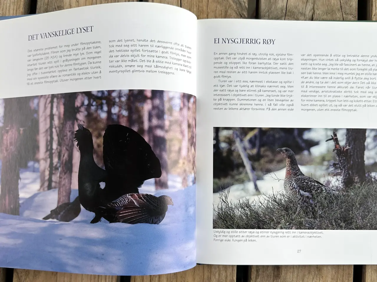 Billede 3 - Med Kamera i Norsk Natur – Nils Viker – Norsk