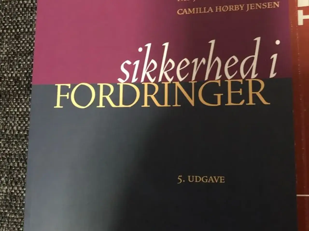 Billede 5 - Bøger til Kreditsikring på SDU