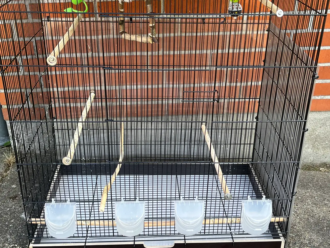 Billede 2 - Store fuglebure.