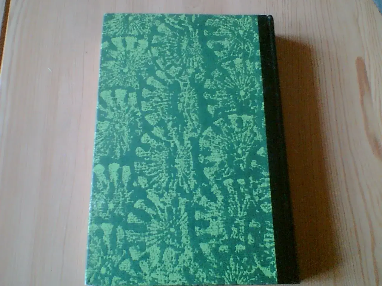 Billede 3 - Ernest Hemingway, 2 bøger