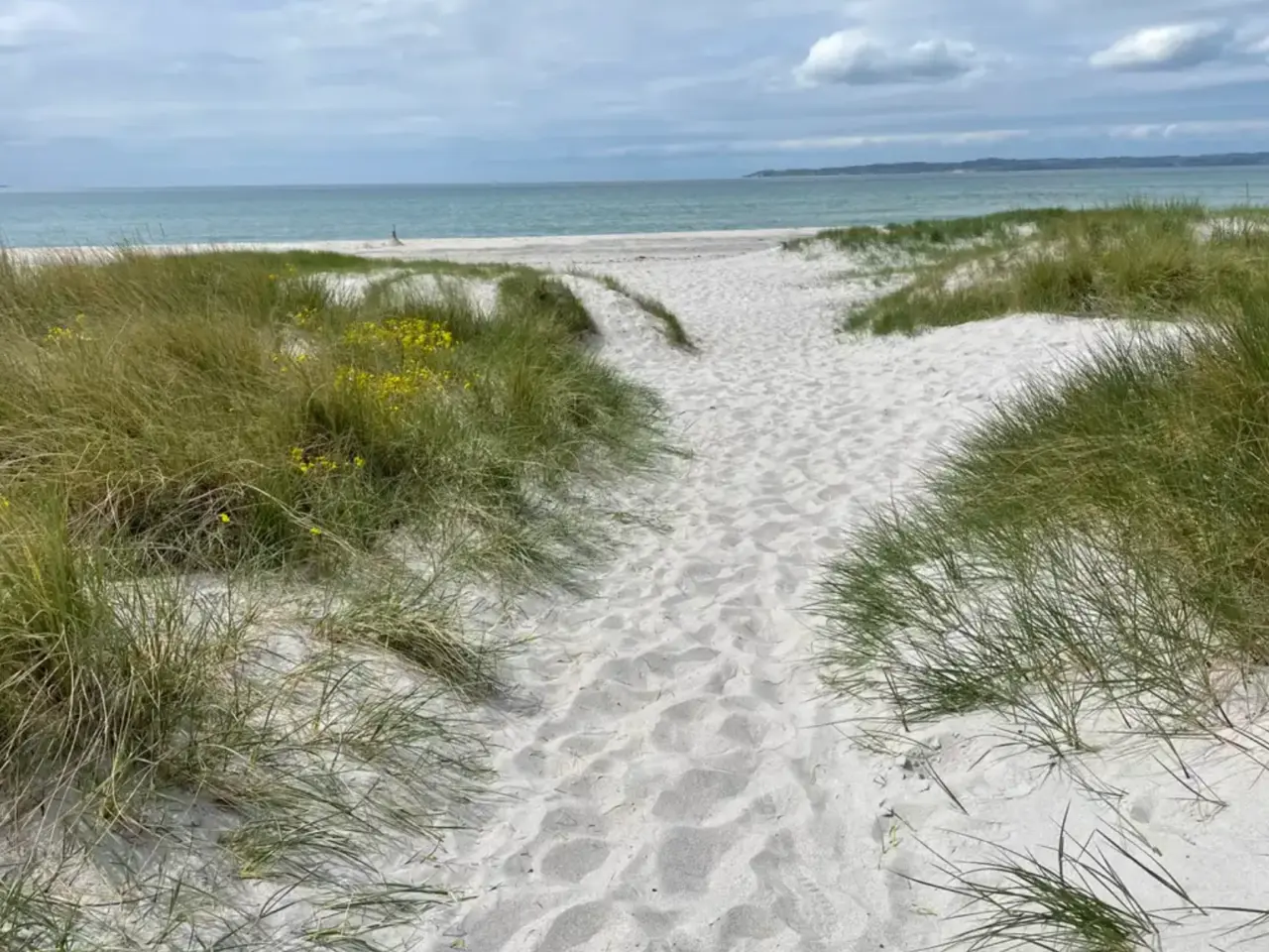 Billede 9 - Sommerhus i Ebeltoft udlejes