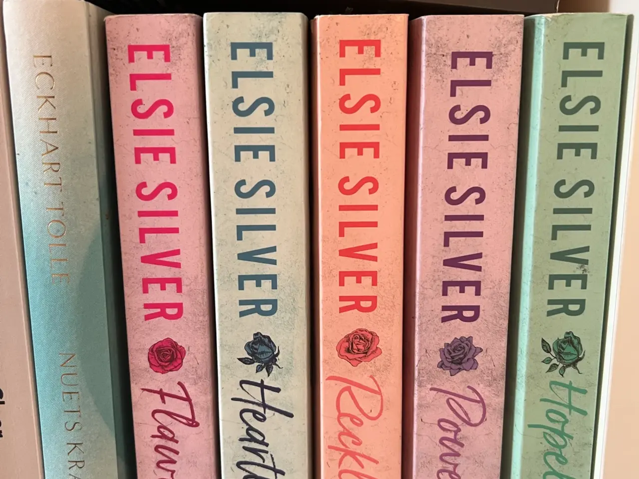 Billede 3 - Chedtnut Springs serie af Elsie Silver på engelsk