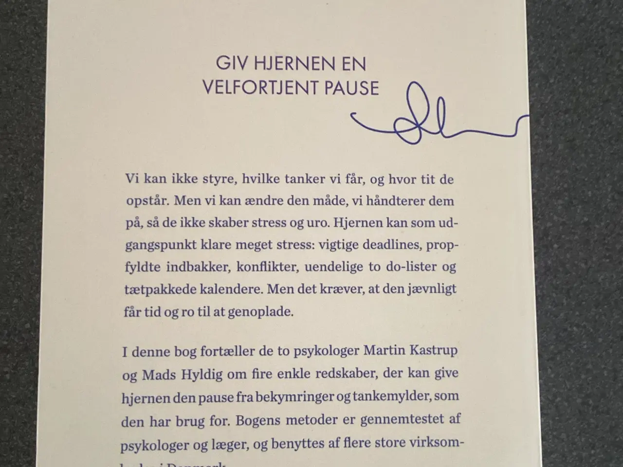 Billede 2 - HJERNERO Bog