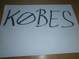 Campingvogn købs årg 1998-2009