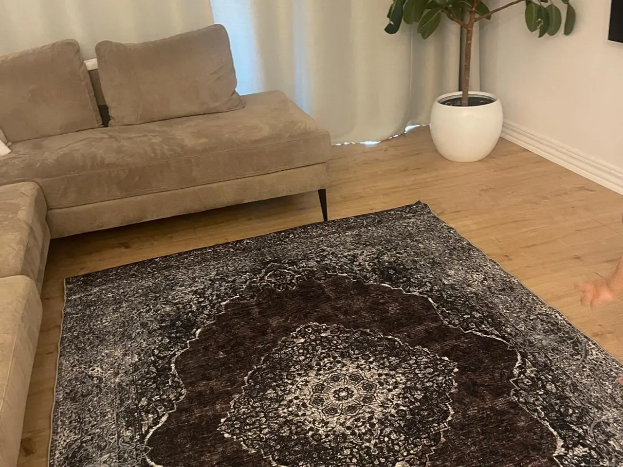 Billede 3 - Flot tæppe 160x230 - ubrugt